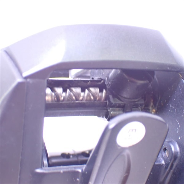 １９タトゥーラＴＷ１００ＳＨＬ